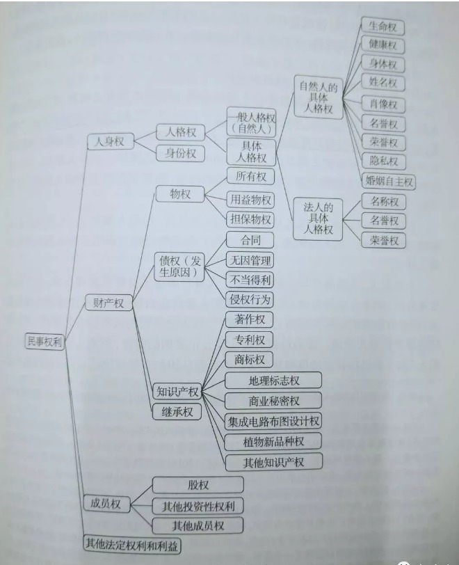 你赞同任正非