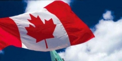 加拿大专家就该国《商标法》中的新增内容提出建议