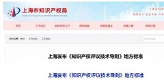 10月1日施行！上海发布《知识产权评议技术导则》地方标准