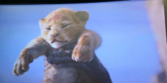 郑恺拍摄《狮子王》 电影画面遭指责