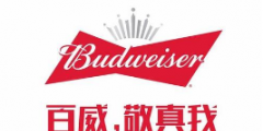 假冒 “百威”商标罐装啤酒，广西玉林兴业县法院审理首起侵犯知识产权罪案件
