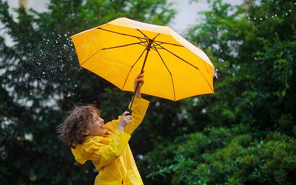 雨伞商标转让流程以及类别