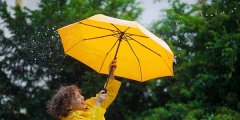 雨伞商标转让流程以及类别