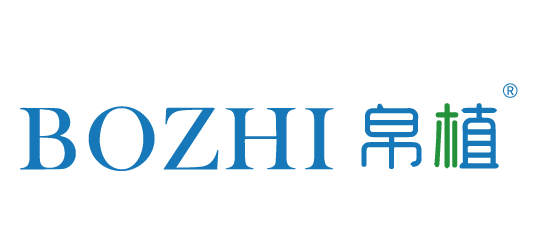 {帛植,BOZHI}