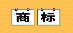 填写商标续展申请书需要注意哪些问题？记住这几点不再抓瞎