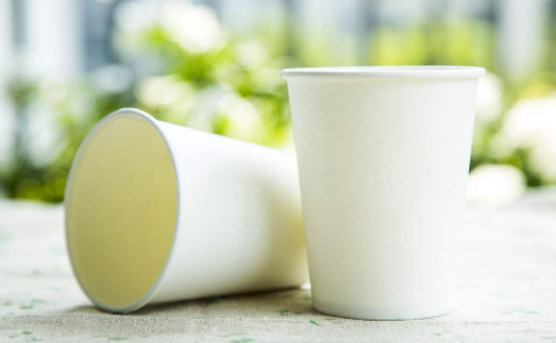 纸杯注册商标第几类