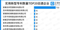 实用新型专利TOP20：古井贡酒一骑绝尘，有效实用新型专利722件