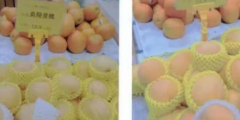 售卖假的炎陵黄桃，长沙一水果店被判罚1万元