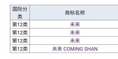 蔚来”为什么不用“未来”，商标是否被他人注册