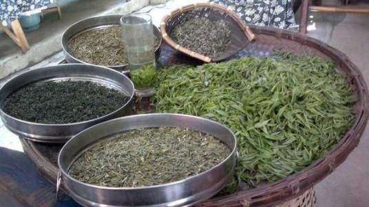 “长沙绿茶”获批国家地理标志证明商标