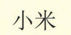 小米公司新增多项“厚植征信”相关商标，此前已于海南城里征信公司