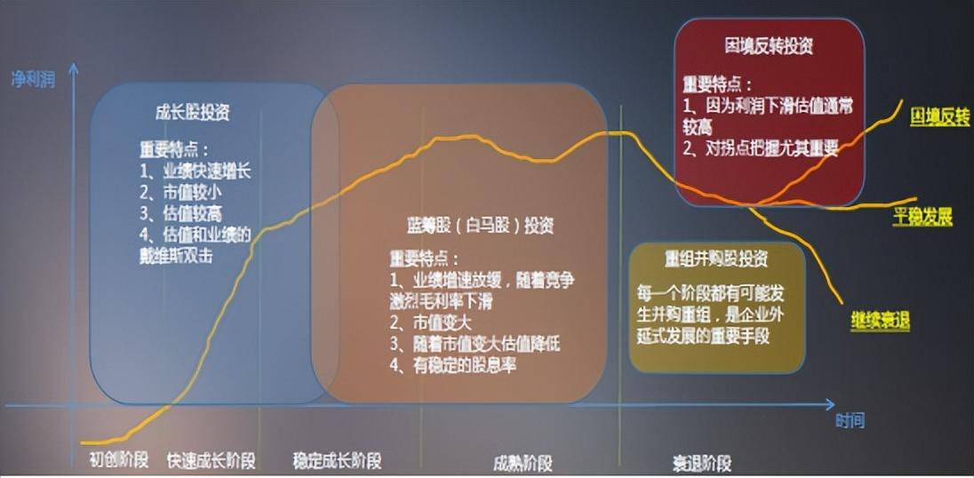企业生命周期理论概述(企业生命周期理论名词解释)