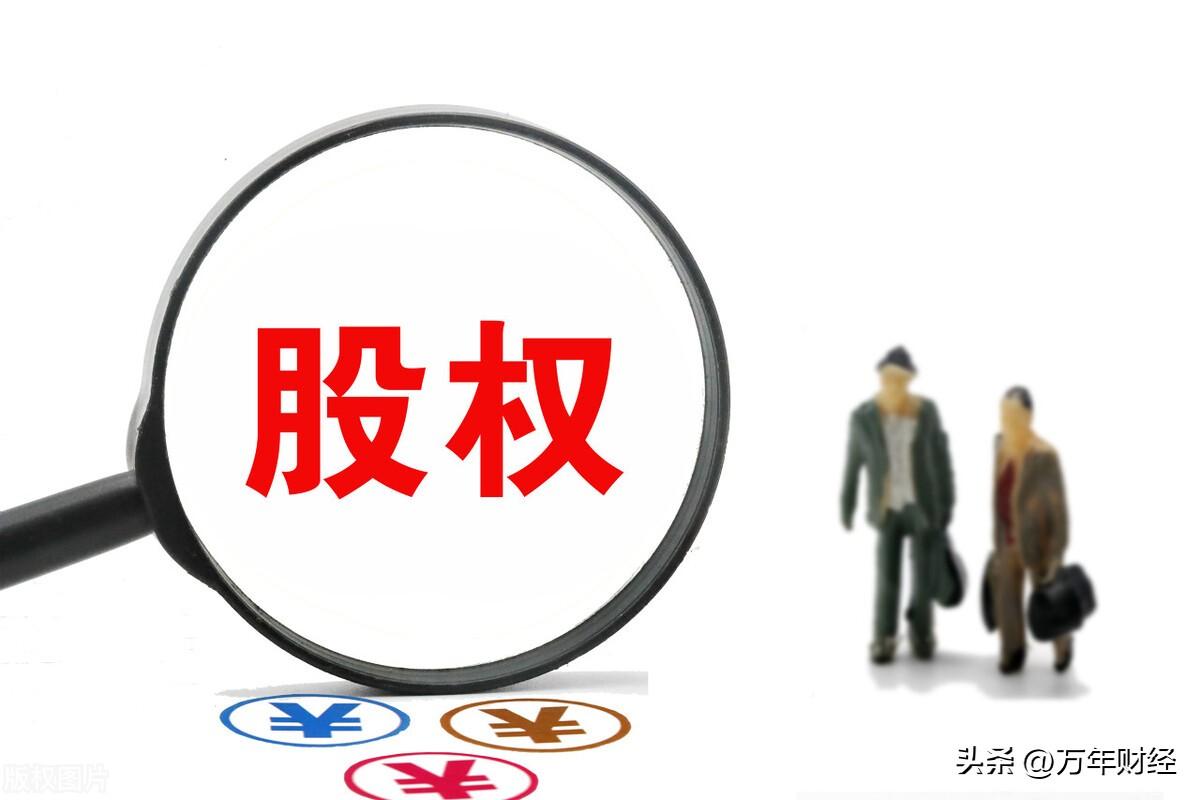 股东持股比例怎么算(出资比例和股权比例的计算)