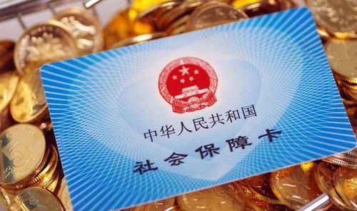 社保缴存查询明细表怎么查询打印(职工社保缴费清单的查询方法)