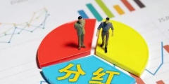 不同股东形式分红税率是多少(股东分红的计算公式)