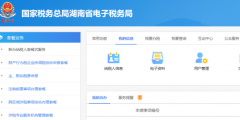 电子税务局财务会计制度备案怎么填写(财务会计制度备案操作流程)