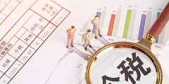 个税怎么查以往明细(个人所得税纳税记录查询和打印)