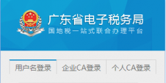 外经证办理流程(电子税务局开具外经证流程)
