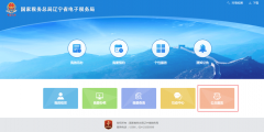 辽宁查询一般纳税人资格的网站(纳税人资格查询的流程)