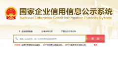 公司年报在哪里查(企业信息年报入口)