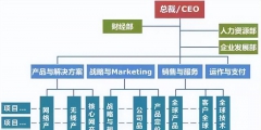 常见的组织架构类型有哪几种(企业矩阵式组织结构图)