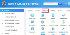纳税证明在哪里开(常见的纳税凭证开具流程)