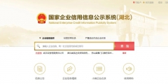 怎样查询个体工商户年报成功没有(国家企业信用信息公示系统四川入口)