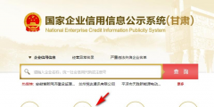 甘肃省企业年报网上申报系统报税流程(企业年报怎么填写内容)