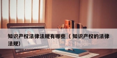 知识产权法律法规有哪些（ 知识产权的法律法规）