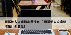 辱骂他人立案标准是什么（ 辱骂他人立案标准是什么意思）