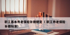 职工基本养老保险补缴规定（ 职工养老保险补缴标准）