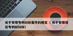 关于审理专利纠纷案件的规定（ 关于审理侵犯专利权纠纷）