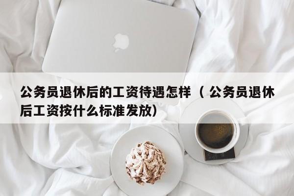 公务员退休后的工资待遇怎样（ 公务员退休后工资按什么标准发放）