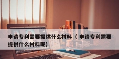 申请专利需要提供什么材料（ 申请专利需要提供什么材料呢）