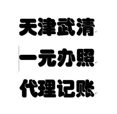 天津河北代理记账哪家好（天津市河北区代理记账公司）