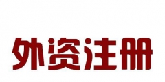 外资公司注册法律体系的特点（外资公司注册法律体系的特点包括）