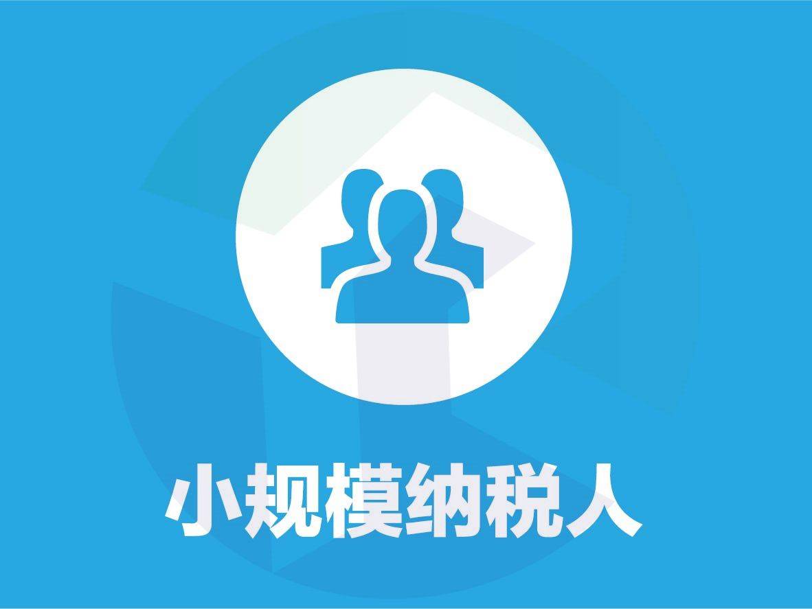 小规模纳税人注册流程（小规模纳税人注册流程视频）