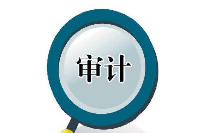 税务审计与财务审计有什么区别（税务审计与财务审计有什么区别呢）
