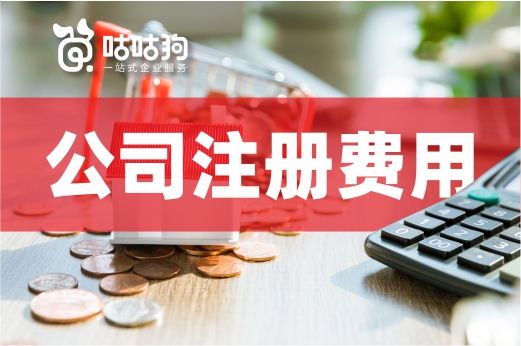 注册公司费用一般都有哪些（注册公司费用一般都有哪些科目）