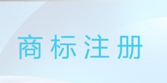 怎么查询商标注册成功没（如何查询商标是否注册成功）
