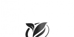 广东申请商标（广东省商标申请表）