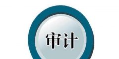 税务审计与财务审计有什么区别（税务审计与财务审计有什么区别呢）