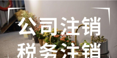 注册境外公司条件都有什么（注册境外公司条件都有什么要求）