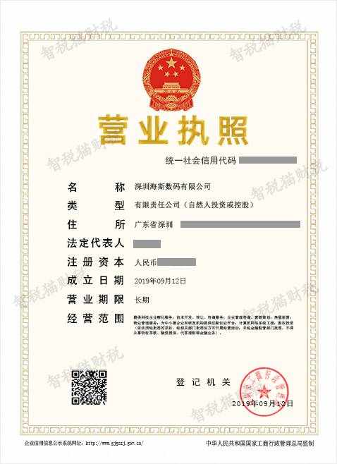 数码科技公司怎么注册（数码科技公司简介怎么写 范文）
