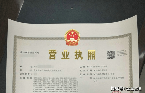 软件公司经营范围【营业执照写法大全】（）