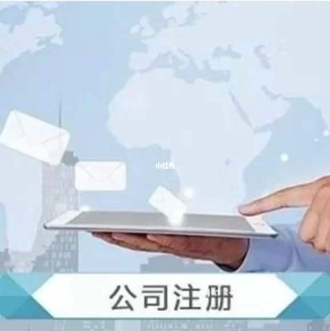 注册网络公司的流程与注意事项详解（注册网络公司的流程与注意事项详解视频）
