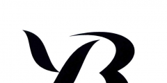 珠宝商标名称大全（珠宝商标名称大全 三个字）