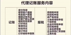 选择专业的工商税务代理公司有何优势（）