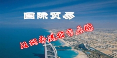 注册香港公司进军海外贸易市场（注册香港公司进军海外贸易市场的条件）