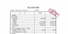 财务报表审计具体审查的内容（审计时公司报表有什么要注意的）